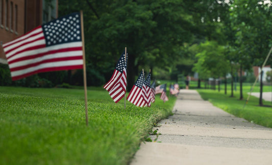 How do Presidential Elections Impact the Real Estate Market? - JUNE 2024