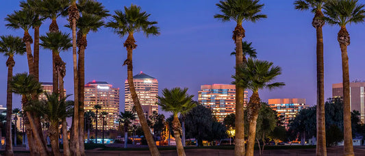 City of Phoenix to Plant Thousands of Trees to Combat Heat